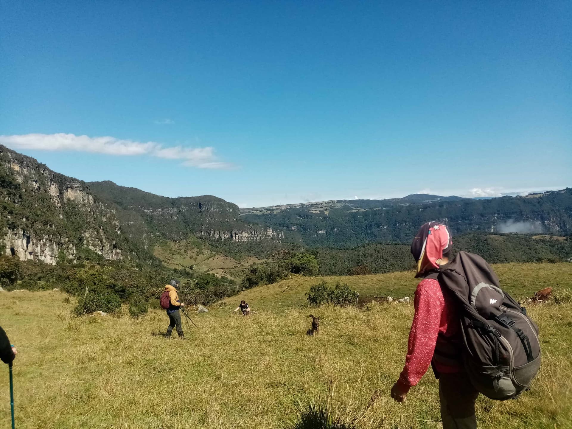 Grupo caminando por el sendero