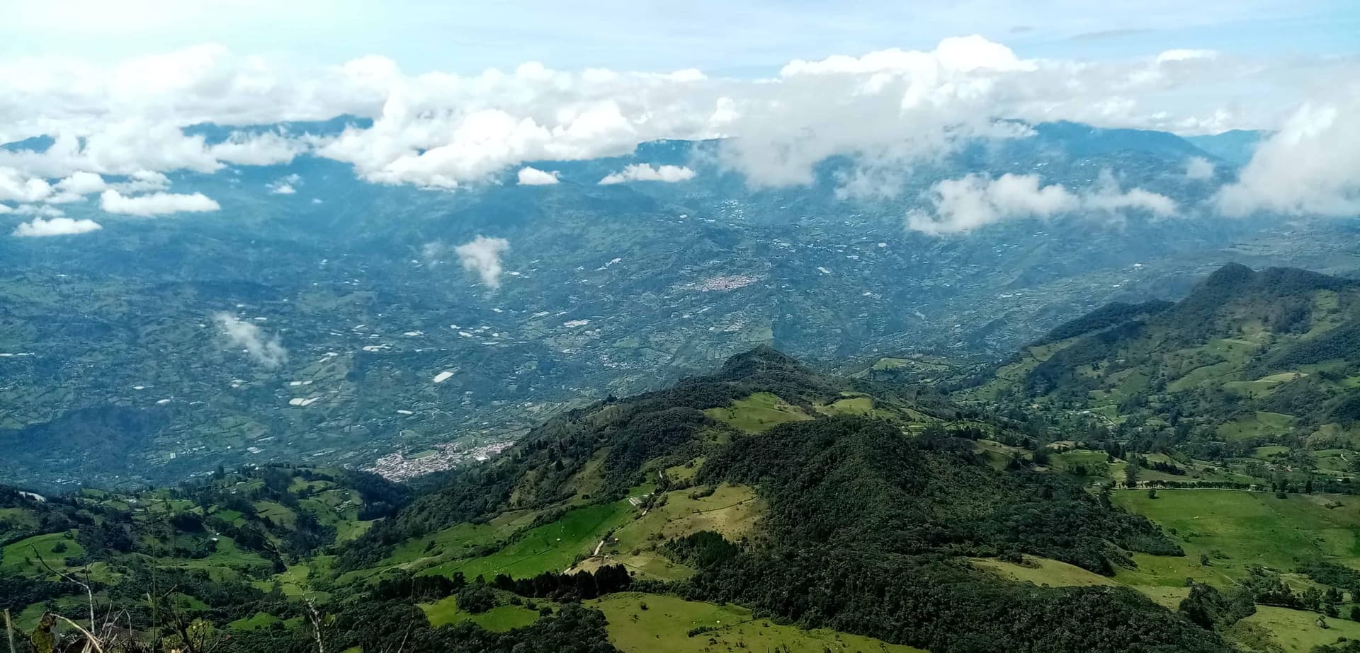 Vegetación y paisajes