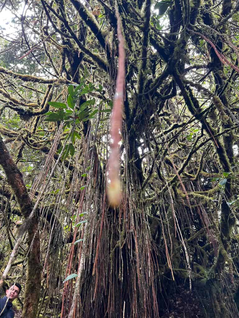Conexión con la naturaleza y el entorno
