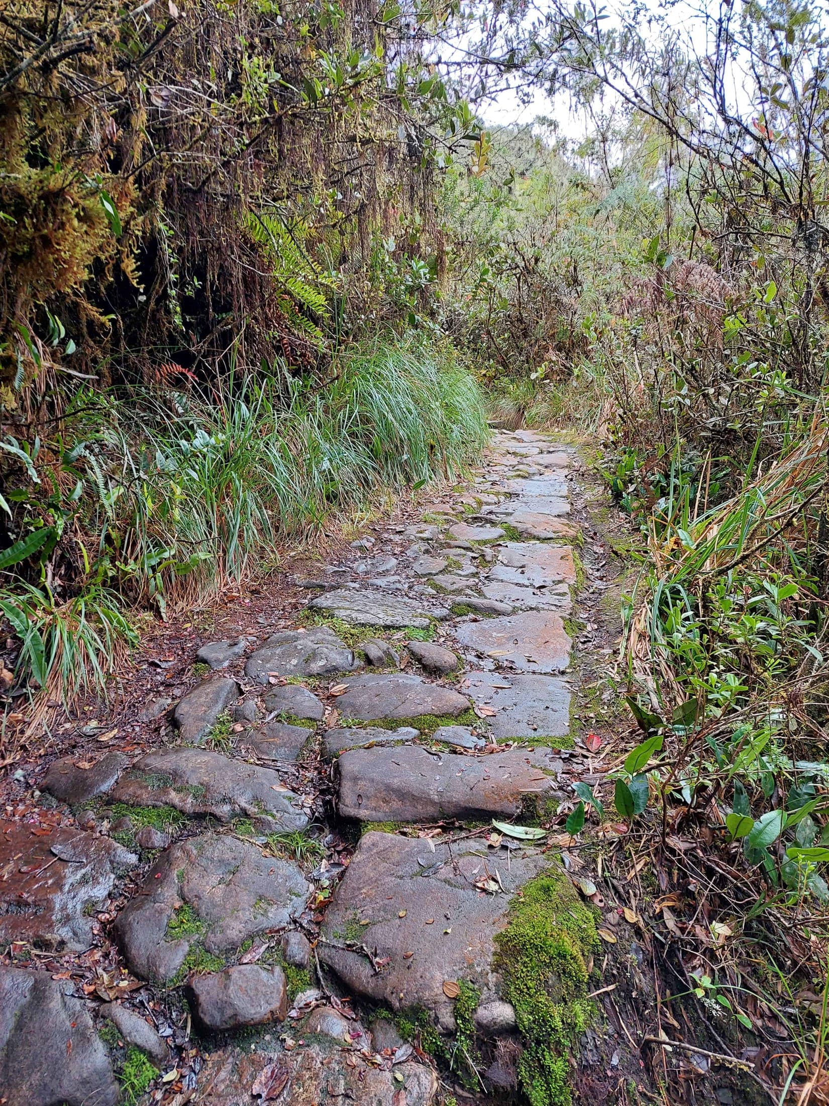 Sendero de Paz