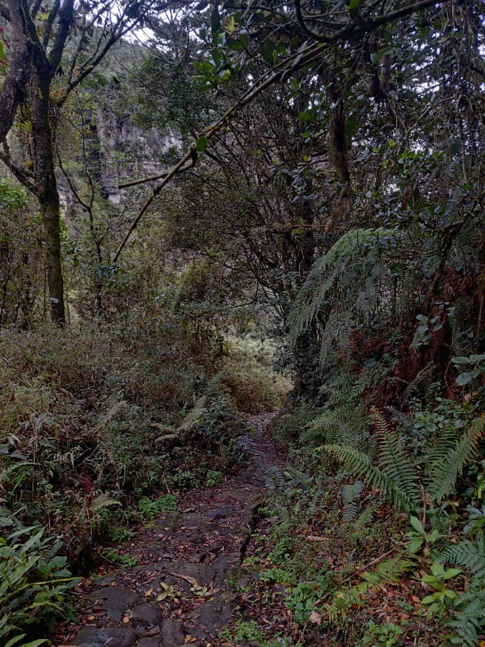 Senderos y Recorridos