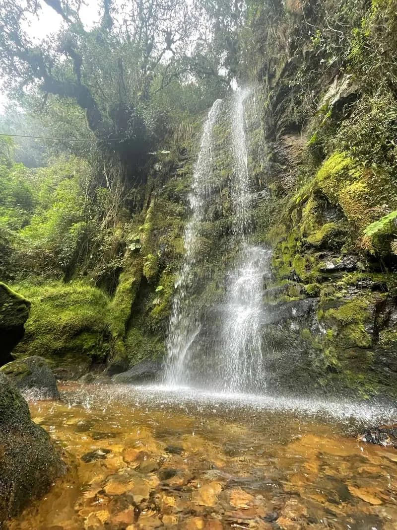 Cascadas del Sendero