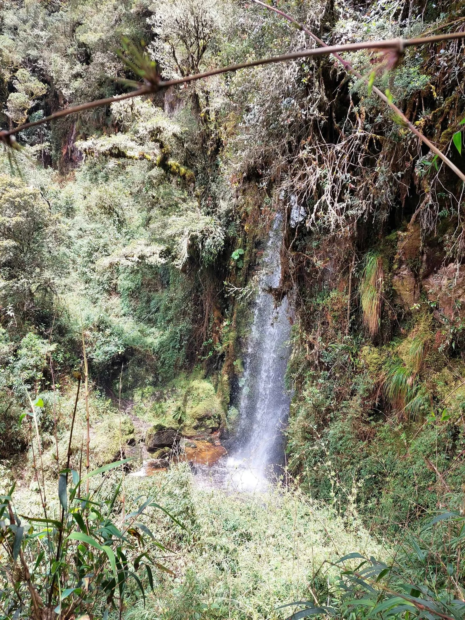 Imagen del recorrido Sendero de Paz