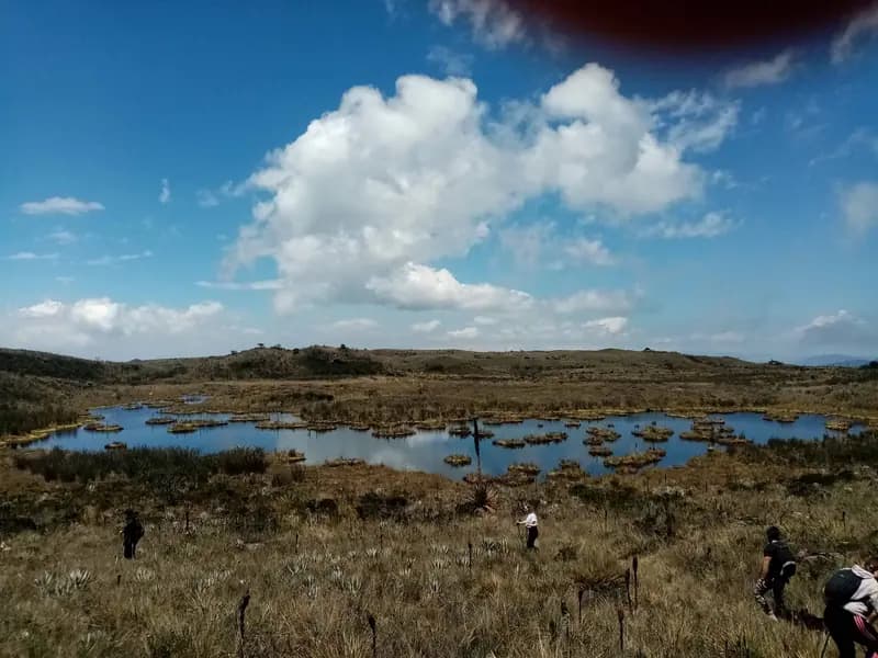 Lagunas de Tanavistad
